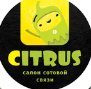 Логотип сервисного центра Цитрус